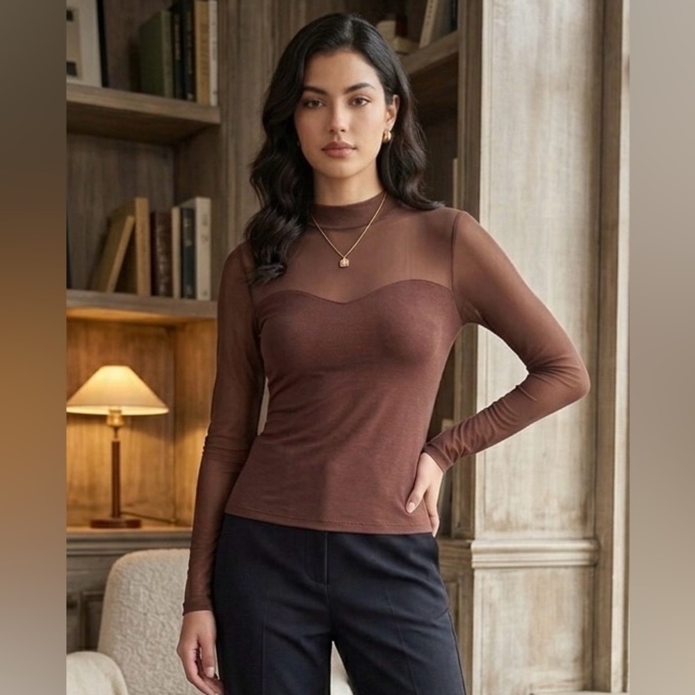 SHEIN Brown Sheer Yoke Long Sleeve Top